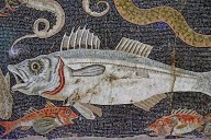 Marine Fauna Mosaic
