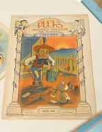 Assorted Covers, Puck Press Publications