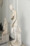 Aphrodite of the Dresden-Capitoline Type