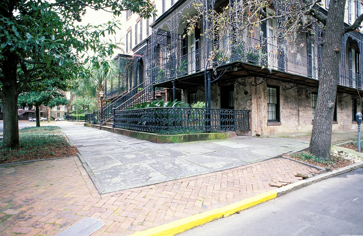 Savannah: Topographic Views of the City Squares